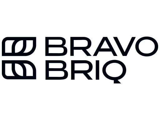 BravoBriq — branding by OCHI